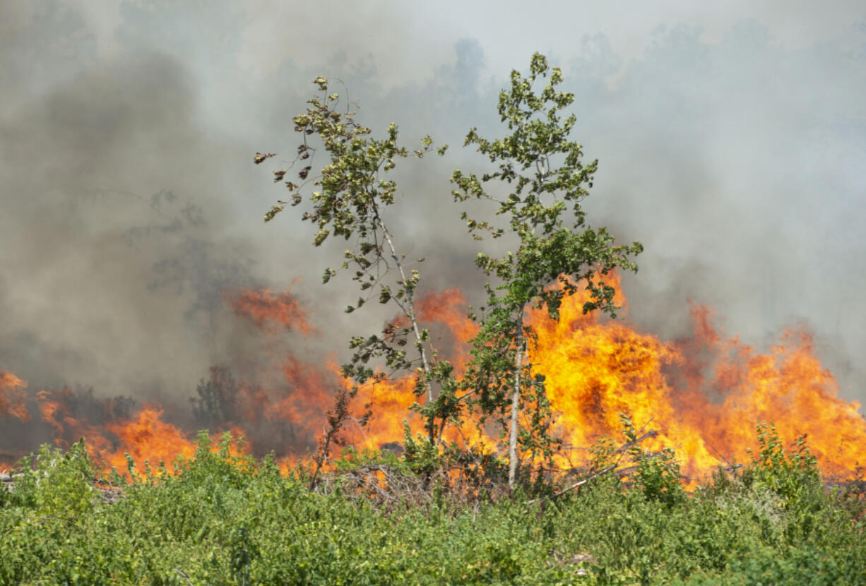 Fires burn along Highway 27 in Beauregard Parish, La., Thursday, Aug. 24, 2023. The wildfire in southwestern Louisiana forced 1,200 residents in the town of Merryville, located in Beauregard Parish, to evacuate on Thursday.