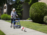 Judy Laughery, 83, walks Sissy, her long-haired chihuahua, outside her apartment complex. After a $600 rent increase that she cannot afford, Laughery is uncertain about her future. She is paying $1,970 for her unit, not including utilities.