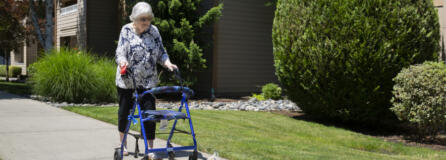 Judy Laughery, 83, walks Sissy, her long-haired chihuahua, outside her apartment complex. After a $600 rent increase that she cannot afford, Laughery is uncertain about her future. She is paying $1,970 for her unit, not including utilities.