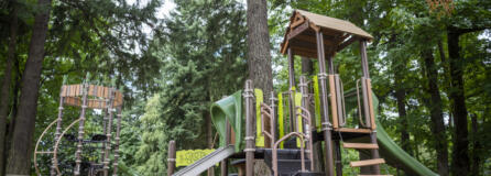 Trees rise above a playground at DuBois Park in Vancouver. The playground, which has a wheelchair user-friendly disc swing, is not considered fully accessible due to the wood chip surface. At top, a disc swing hangs at the under-construction Marshall Park.