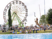 Bacon, a 3-year-old Labrador, leaps into a pool Friday in the DogTown event space at the Clark County Fair.