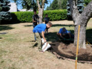 Scout Harris Royer recently used his Eagle Scout project to help revitalize Parker's Landing Historical Park.