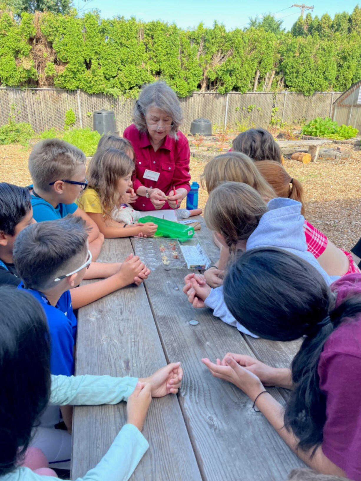 WSU Master Gardener Pam Kirkaldie leads a lesson on Seeds We Eat for the children of the Boys & Girls Club at the Hazel Dell School and Community Garden.