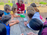 WSU Master Gardener Pam Kirkaldie leads a lesson on Seeds We Eat for the children of the Boys & Girls Club at the Hazel Dell School and Community Garden.