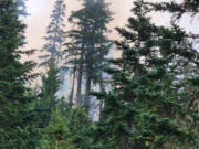 The Gifford Pinchot National Forest spans more than 1.3 million acres, so the dozens of fires that are burning total a fraction of the forestland. Suppression crews are addressing fire in high priority areas, such as the Grassy Mountain, South Fork and Carlton Ridge fires. (Photo contributed by the U.S.