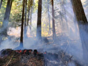 Last week's lightning strikes sparked some 45 forest fires in the Gifford Pinchot National Forest. The fire range in size from less than an acre to about 200 acres.