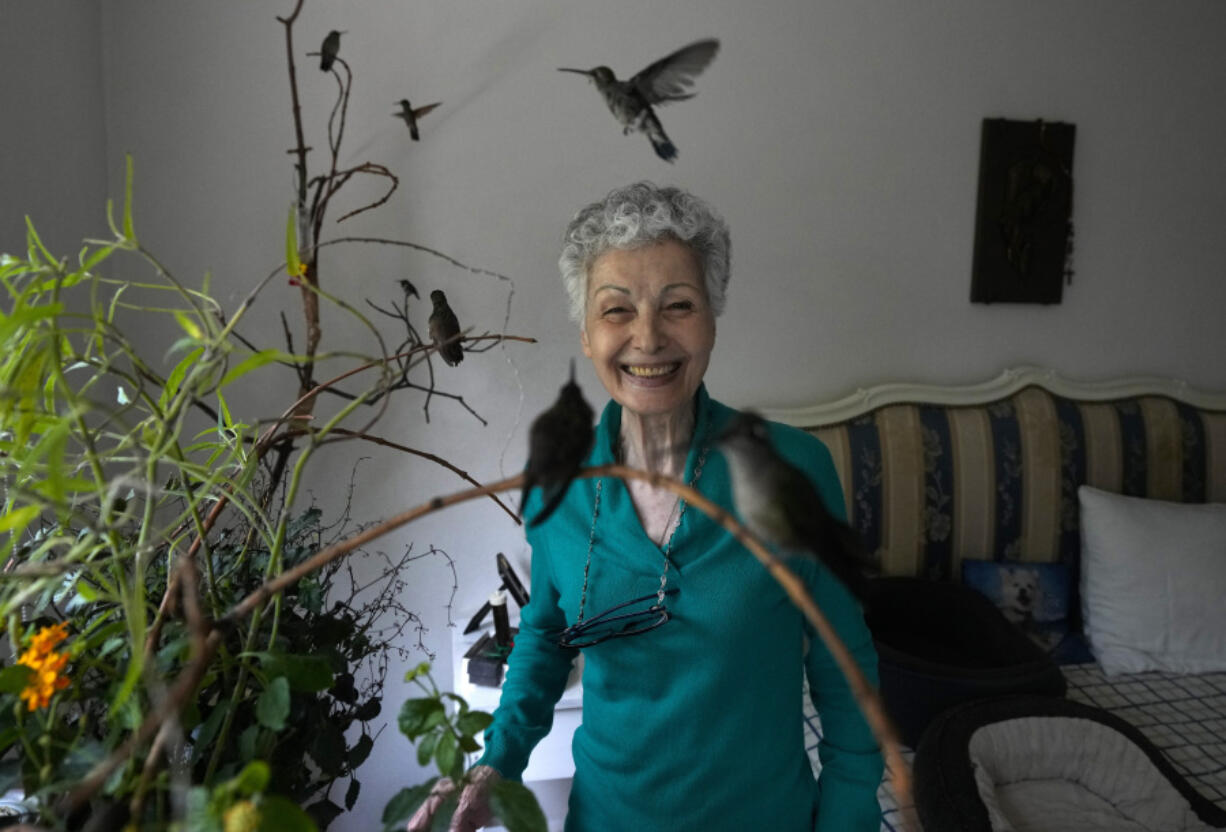 Catia Lattouf is surrounded Aug. 7 by the hummingbirds in her care, in her apartment that she has turned into a makeshift clinic for the tiny birds, in Mexico City. Lattouf who has some 60 hummingbirds under her care, has become a reference source for bird lovers, amateur and professional alike, across Mexico and other parts of Latin America.