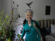 Catia Lattouf is surrounded Aug. 7 by the hummingbirds in her care, in her apartment that she has turned into a makeshift clinic for the tiny birds, in Mexico City. Lattouf who has some 60 hummingbirds under her care, has become a reference source for bird lovers, amateur and professional alike, across Mexico and other parts of Latin America.