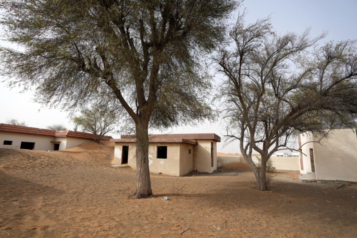 Houses are seen buried under the sand at the Bedouin village of al-Ghuraifabout 100 km, 62 miles, southeast of Sharjah, United Arab Emirates, Sunday, July 9, 2023. Built-in the 1970s, the village was abandoned two decades later as oil wealth transformed the country into a global hub of commerce and tourism, home to the futuristic cities of Dubai and Abu Dhabi.