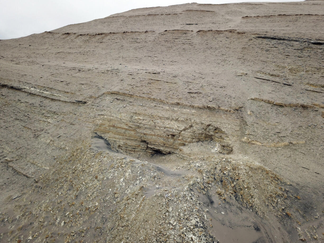 In this June, 2018 photo provided by Department of Earth Sciences, University of Pisa, is the site of origin of Perucetus colossus field excavation in the Ica desert, in Ica Province, southern Peru. A new species of ancient whale might be the heaviest animal ever found. Scientists reported Wednesday, Aug. 2, 2023, that the creature could challenge the blue whale's title as the heaviest animal that lived on Earth. They've been digging up massive fossils from the creature in the Peruvian desert over the past decade.