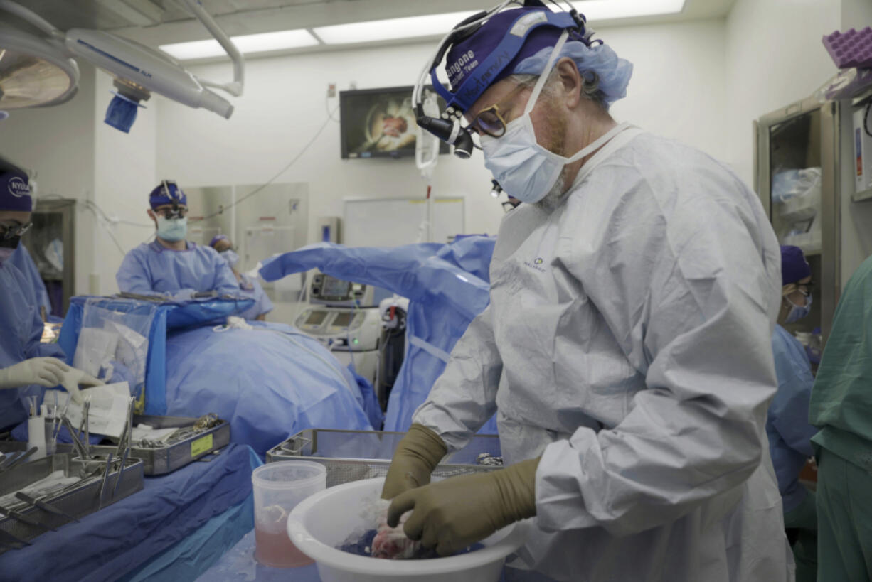 Dr. Robert Montgomery, director of NYU Langone's transplant institute, prepares a pig kidney for transplant into a brain-dead man in New York on July 14, 2023. Researchers around the country are racing to learn how to use animal organs to save human lives.