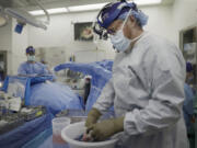 Dr. Robert Montgomery, director of NYU Langone's transplant institute, prepares a pig kidney for transplant into a brain-dead man in New York on July 14, 2023. Researchers around the country are racing to learn how to use animal organs to save human lives.