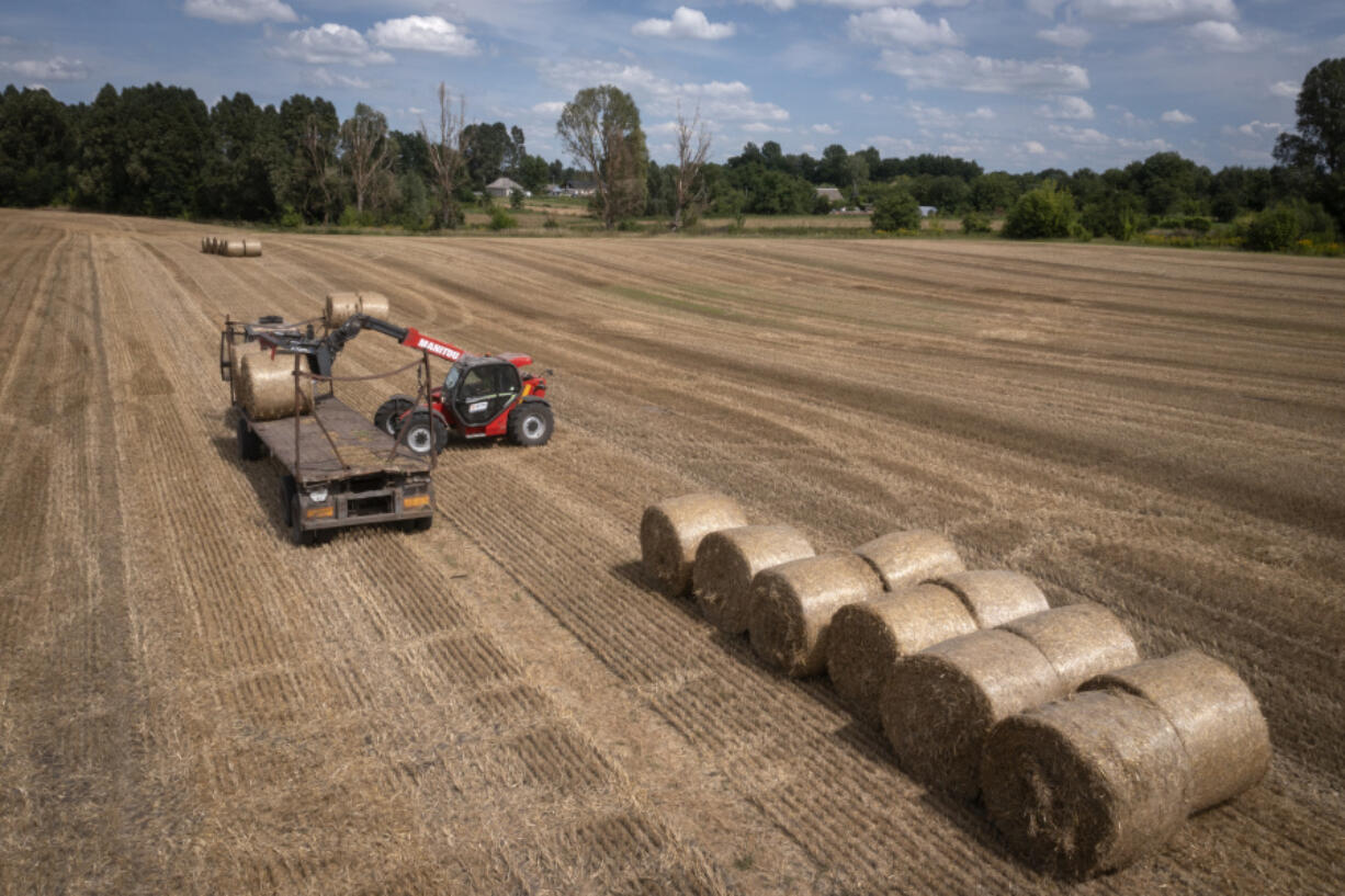 A tractor collects straw on a field in a private farm in Zhurivka, Kyiv region, Ukraine, Thursday, Aug. 10, 2023. Last month, Russia pulled out of the deal that the U.N. and Turkey brokered to provide protection for ships carrying Ukrainian grain through the Black Sea.