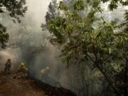 Emergency crews and firefighters are working to extinguish the fire advancing through the forest in La Orotava in Tenerife, Canary Islands, Spain on Aug.