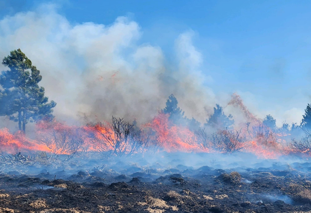 The Newell Road Fire burned more than 60,000 acres east of Goldendale before it was contained.