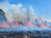 The Newell Road Fire burned more than 60,000 acres east of Goldendale before it was contained.