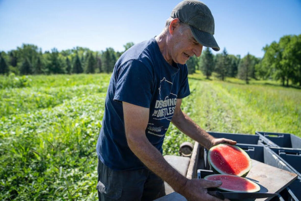 Jeff Nistler cut up a watermelon at his Nistler Farms in Maple Plain, Minn.