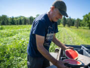 Jeff Nistler cut up a watermelon at his Nistler Farms in Maple Plain, Minn.