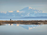 The view of Mount Baker from Centennial Beach in Delta, B.C.