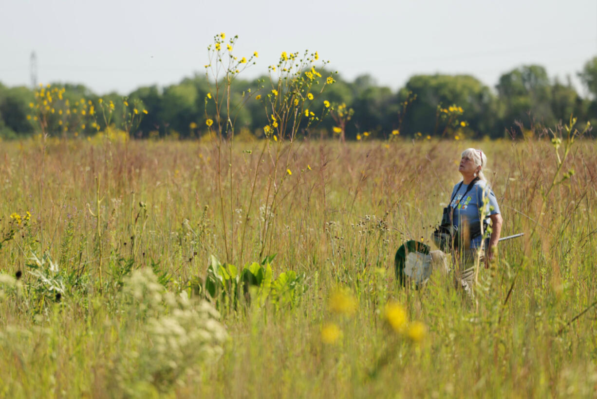 Barbara Williams carries an insect net and looks for bees, dragonflies and other insects Aug. 16 in Deer Run Forest Preserve in Cherry Valley, Ill.