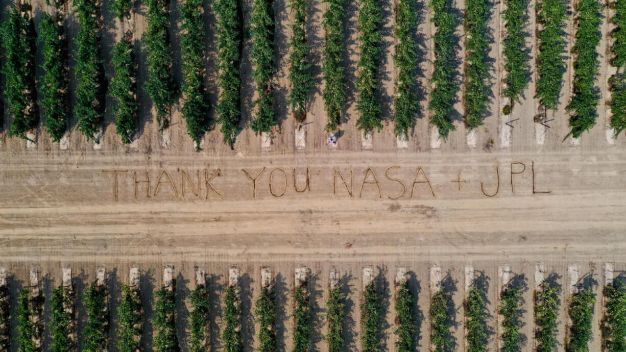 A drone image captures a grateful message scrawled in a vineyard in the Lodi, Calif., region by growers who collaborated with NASA's Jet Propulsion Laboratory on research to detect a crop-destroying virus.