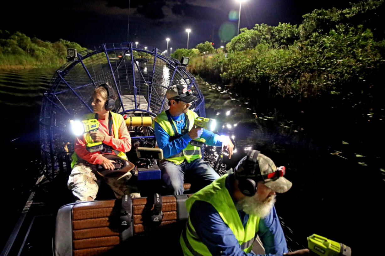 From left: Volunteer Donna Kalil, airboat pilot Dave Hackathorn and volunteer Dave Wagner hunt for pythons in the Everglades west of Weston, Fla., on Aug. 12, 2022.