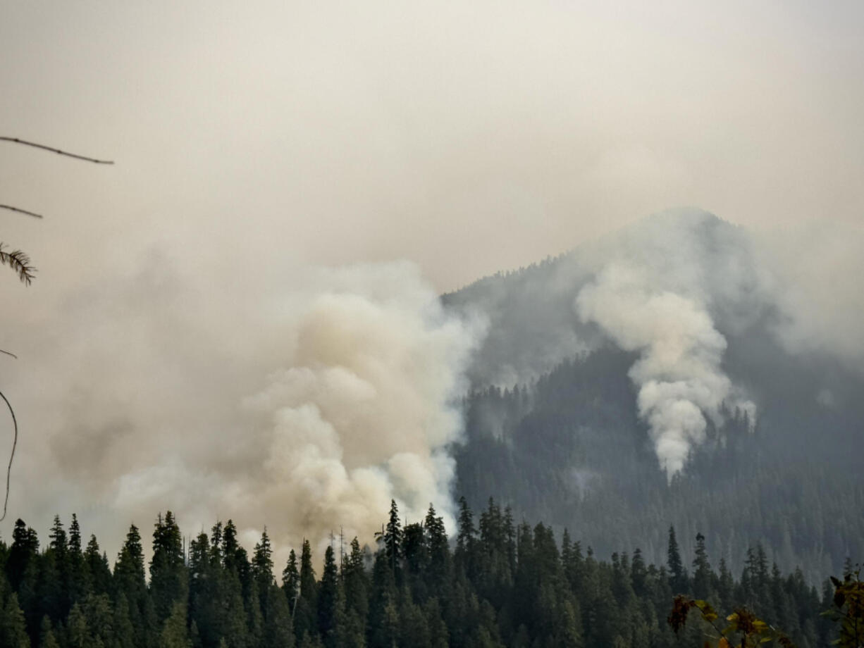 Smoke columns form on Lookout Ridge in the Willamette Nationa Forest, northeast of Eugene, Ore.