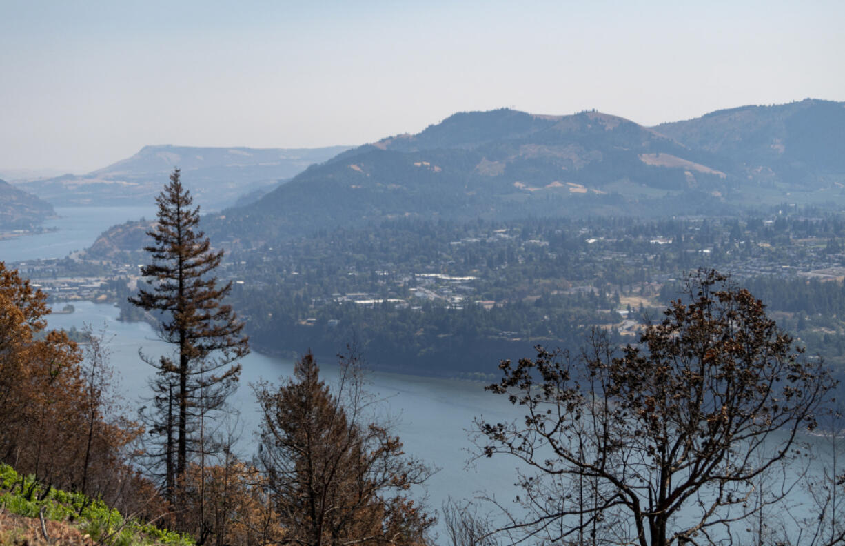 Hood River, Ore. and the Columbia River are visible through scorched trees Thursday, Aug. 24, 2023, near the Tunnel Five Fire burn scar in Underwood.