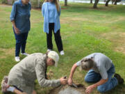 Community Garden Club of Camas-Washougal member Susan Tripp recently formed a new dedicated Garden Club team that will continue the club's important history of service in Parker's Landing Historical Park.