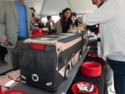 A cake replica of the C-Tran bus is cut and distributed. Cake was also served when the Vine on Fourth Plain was opened in January 2017, but due to the sub-freezing temperatures the cake was frozen, said Vancouver Mayor Anne McEnerny-Ogle.