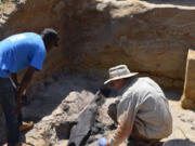 In this photo provided by researchers, an excavation team uncovers a wooden structure found on a riverbed near a waterfall in Zambia in 2019. The pair of crossed logs may be the oldest evidence of early humans building with wood, nearly half a million years old, according to a study published Wednesday, Sept. 19, 2023 in the journal Nature.