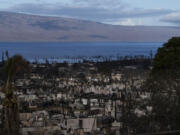 FILE - Homes consumed in recent wildfires are seen in Lahaina, Hawaii, on Aug. 16, 2023. Filipinos began arriving in Hawaii more than a century ago, lured by promises of work on sugarcane and pineapple plantations to support their families back home. Many of those who perished or lost homes in the August 2023 fire were of Filipino descent, a labor force vital to Maui's tourist industry. (AP Photo/Jae C.