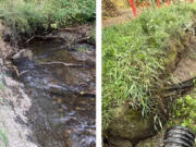 From July 2022 (left) to September 2023 (right), a 40-foot section of the Gibbons Creek bank lost 2 feet due to erosion.