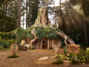 From Oct. 27-29, up to three guests will be able to stay in the Shrek house in Scotland.