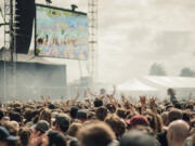 A crowd have fun at a music festival.