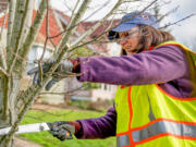 The city of Vancouver's Urban Forestry Commission recently presented longtime Vancouver volunteer Susan Sanders with the Silva Bolds-Whitfield Award.