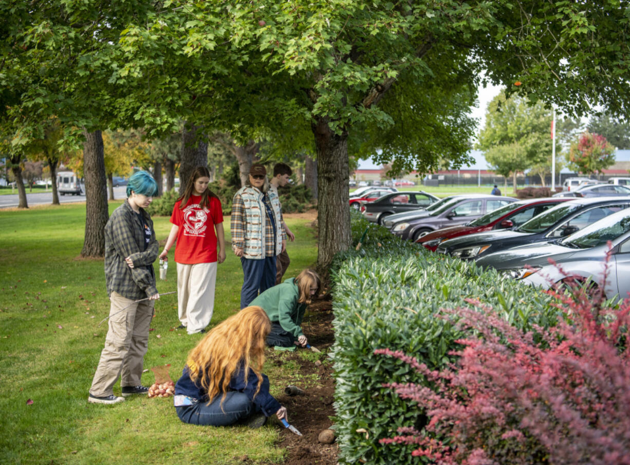 Fort Vancouver High School students are planting tulips to raise awareness of substance use in the community, as part of Red Ribbon Week.
