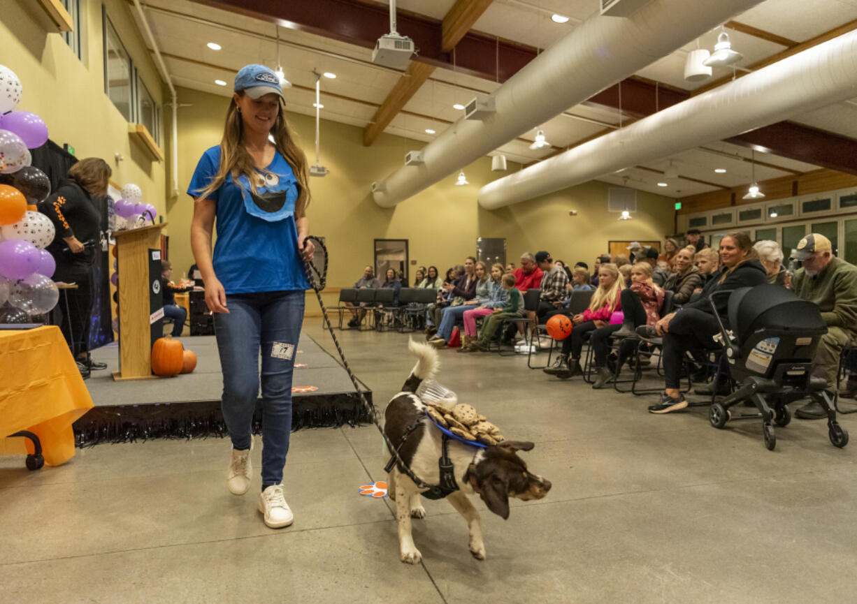 Abbie Etter of Battle Ground walks her dog Rosie  during Thursday's Howl-o-ween Pooch Parade at the Battle Ground Community Center. Rosie, who's coat perfectly matches her chocolate chip cookies and spilled milk costume, took home the People's Choice award.