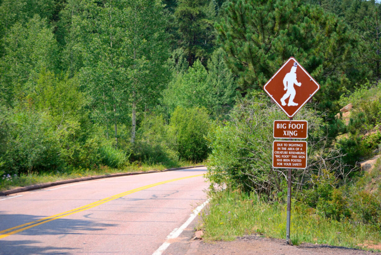 In America, rumors related to the creature most call Bigfoot stem from 1958 reporting in Northern California's Humboldt Times, when journalist Andrew Genzoli highlighted reports from loggers who claimed to find mysteriously large footprints.