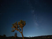 Joshua Tree during a dark-sky photography workshop.