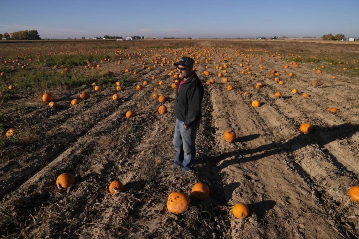 Alan Mazzotti talks in one of his pumpkin fields Oct. 26, 2023, in Hudson, Colo.