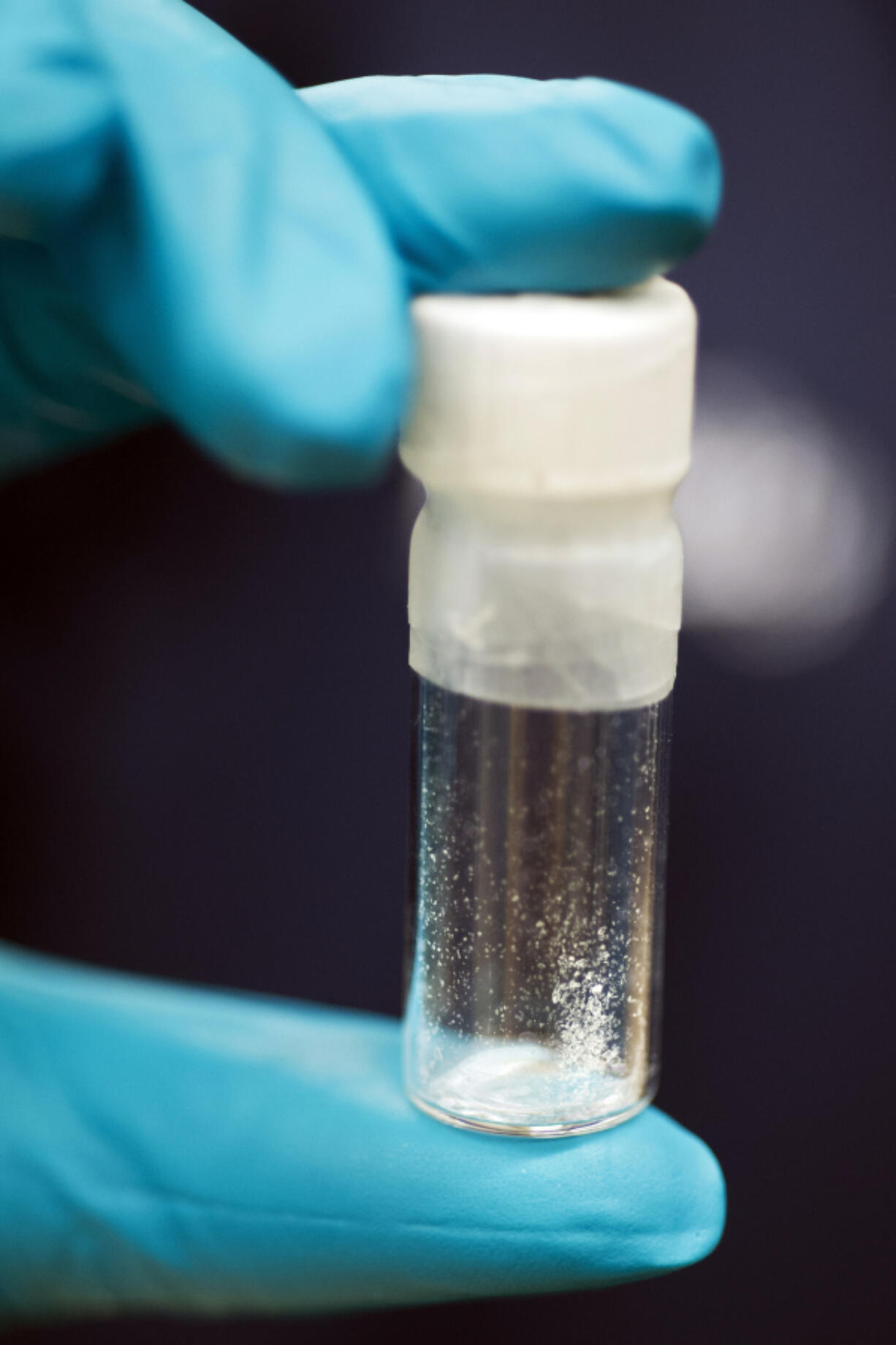 FILE - A vial containing 2mg of fentanyl, which will kill a human if ingested into the body, is displayed at the Drug Enforcement Administration (DEA) Special Testing and Research Laboratory in Sterling, Va., on Aug. 9, 2016. Nearly a dozen children, including a 1 year old, have overdosed on fentanyl since June in Portland, Oregon, its police bureau said Thursday, Sept. 28, 2023, intensifying alarm in a city like so many others that has struggled to address its drug crisis.