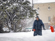 A woman shovel snow, Wednesday, Oct. 25, 2023, in Helena, Mont. The first major snowstorm of the season dropped up to a foot of snow in the Helena area by Wednesday morning, canceling some school bus routes.