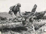 Cpl. Tubby and his Marine handler, Guy Wachtsletter, conduct a combat training exercise during World War II. He was one of thousands of dogs enlisted into service through the Dogs for Defense program that began in 1942. Tubby was one of many canine casualties in the Pacific Theater. He died in action during the battle for Guam in 1944, and is listed on the Ridgefield Veterans Memorial. (U.S.