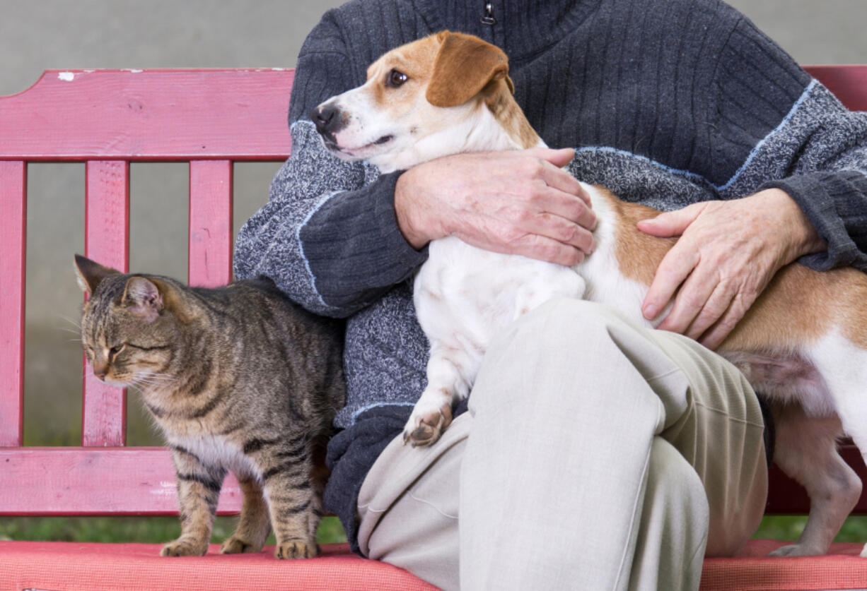 Pet Peace of Mind is a national nonprofit that also operates out of Vancouver. The programs assist hospice patients with pet upkeep and in some cases re-homing after a patient has died.