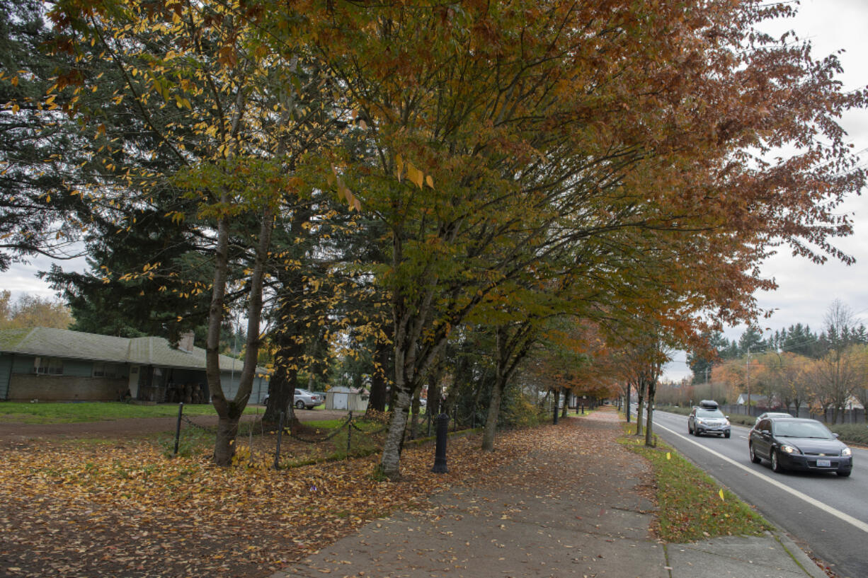 Motorists drive past 1019 S.E. 192nd Ave. in Vancouver. The lot is one of three adjoining properties that a local developer, Ginn Group, is hoping to convert into 60 single detached family homes.