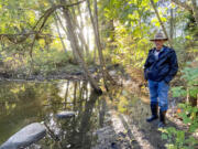 David Koon, the salmon program director for the Carkeek Watershed Community Action Project, examines a beaver dam on Pipers Creek.