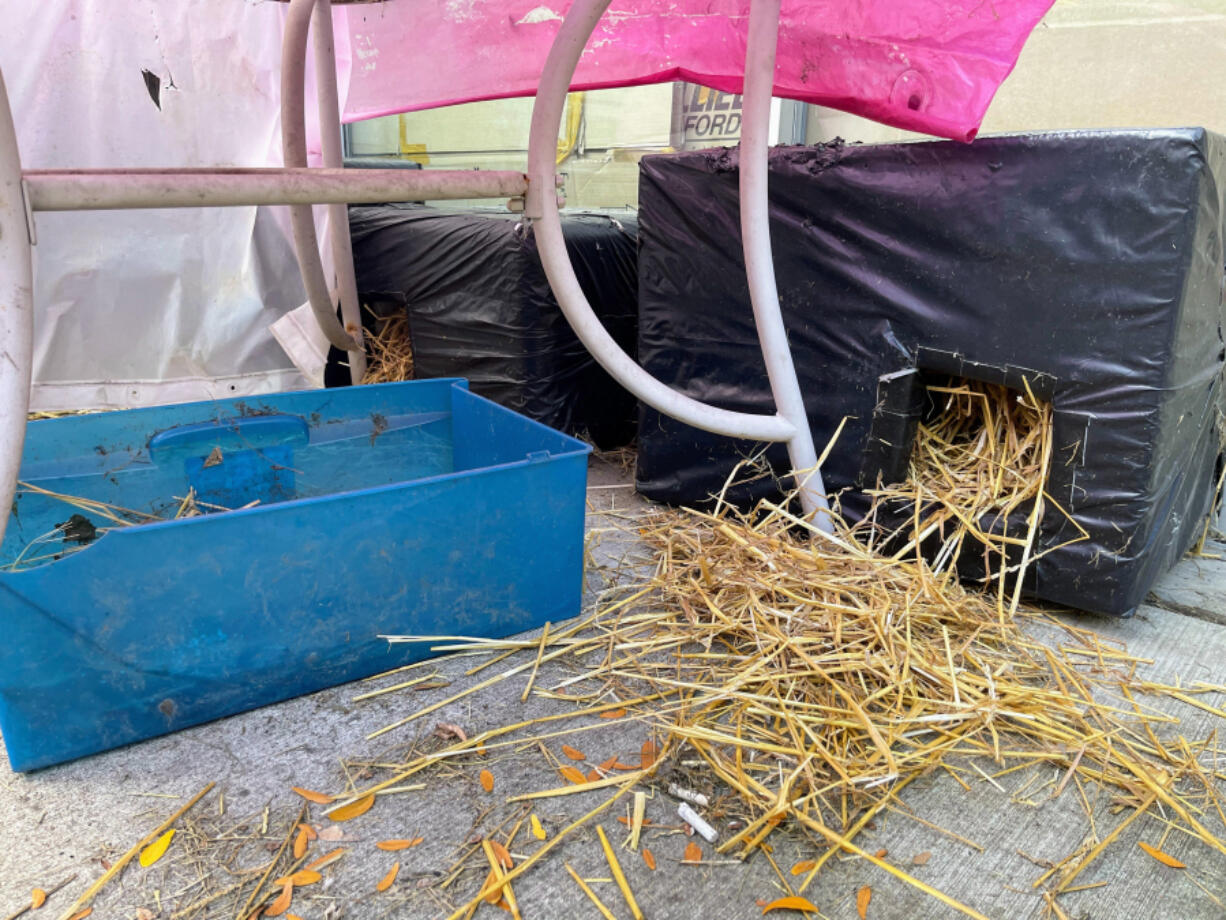 The Niles Animal Control Officer offered resident Sarwat Hakim three shelters for five feral cats. The cats are in a program ran by the police department to reduce the number of rats in Niles.