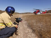 San Diego firefighter Chad Arberg, who is a member of the Urban Search &amp; Rescue California Task Force along with search dog Cory, look on Oct. 16 as San Diego Fire-Rescue Department&rsquo;s Copter 3 takes off during a training exercise in Sycamore Canyon Open Space Preserve in California. (K.C.