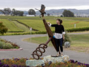 Falconer Rebecca Rosen works with one of her Harris&rsquo;s hawks at Bouchaine Vineyards in Napa, California, where falcons and hawks are used to scare away grape-eating birds, Friday, May 26, 2023.